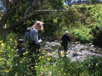 sampling Merri Creek