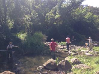 Waterbug census participants collecting sample from all habitats