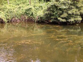 near Fishing Platform