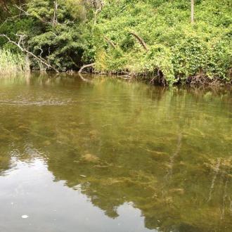 near Fishing Platform