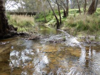 looking downstream