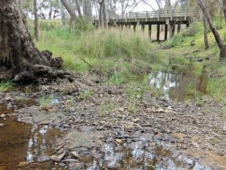 looking downstream