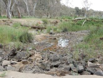 looking downstream