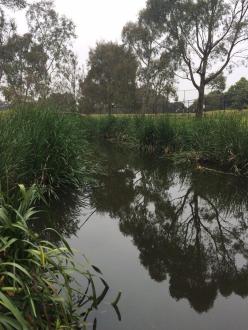 upstream