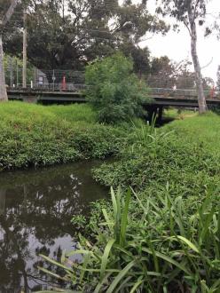 downstream
