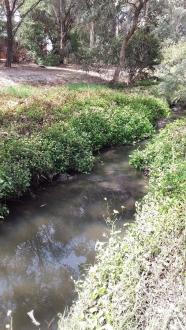 Stony Creek ME_MSO670 downstream