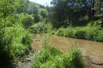 Apex Park - minor flash flood.