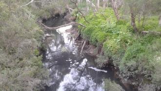 Photo from Jells Park bridge facing north. Yellow is not showing on foam because of light. Foam did not smell and broke up quickly. Yellow may have just been from lack of rainfall.