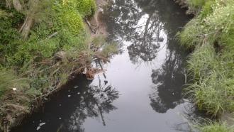 Dandenong Creek south of Jells Park bridge - very dark water, foam broken up
