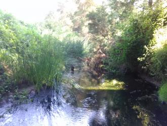 View north from under bridge