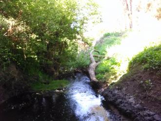 View south from under bridge