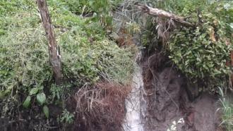 Newest small instream below dry vegetation may cause more erosion with heavy rain forecast