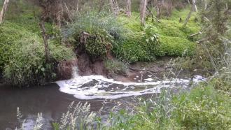 Dandenong Creek instreams with foam breaking up