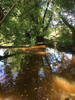 Upstream