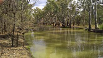 Downstream