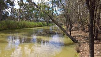 Upstream