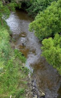 Downstream as seen from bridge