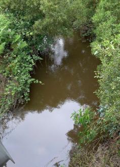 Upstream as seen from bridge