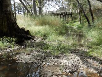 looking downstream