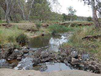 looking downstream