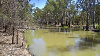 Downstream