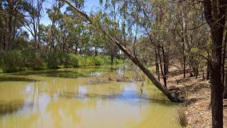 Upstream