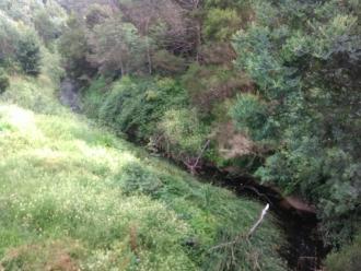 View north from bridge