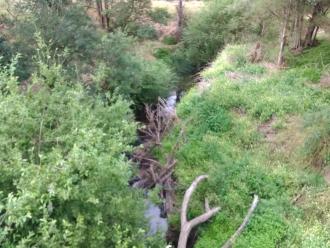 View south from bridge