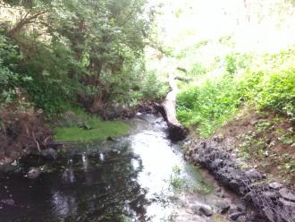 View south beneath bridge