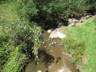 semi-circular piece of white laminated timber (on the RHS bank)