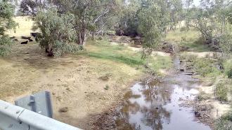 Looking downstream