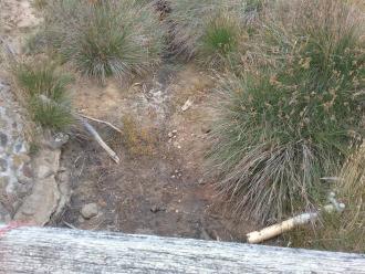 Looking down from upstream side of bridge