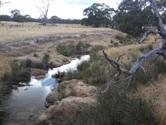 Looking downstream from bridge