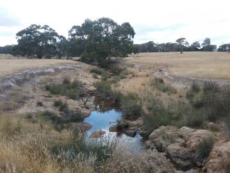 Looking downstream from bridge