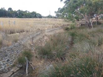 Looking upstream from bridge