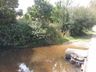 Looking towards east bank upstream side of ford