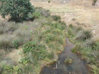 looking downstream from bridge