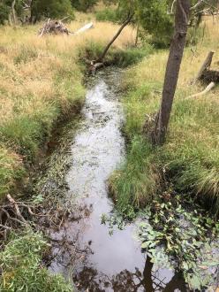 upstream
