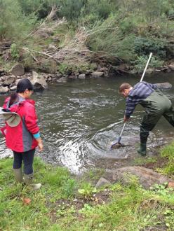 Waterbug census participants collecting bug sample at site