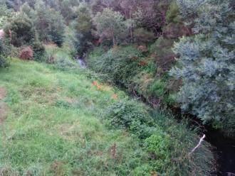 View north from bridge