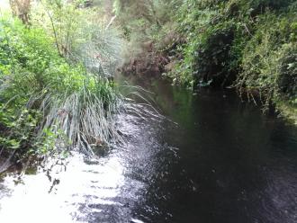 View north from under bridge