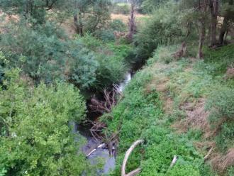 View south  from bridge