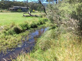 Looking upstream