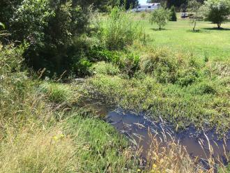 Looking Downstream