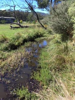 Looking Downstream