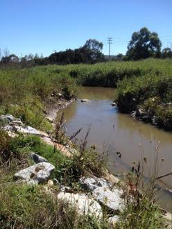 Looking upstream from near the wetland inlet