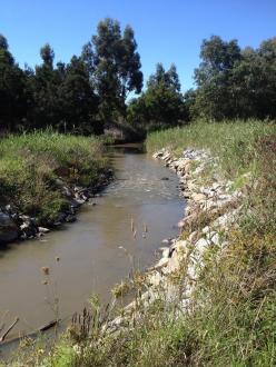 Looking downstream from near the wetland inlet