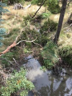 upstream