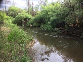 Monitoring site during 645 megalitres per day environmental water release