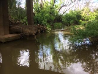 Monitoring site during 645 megalitres per day environmental water release